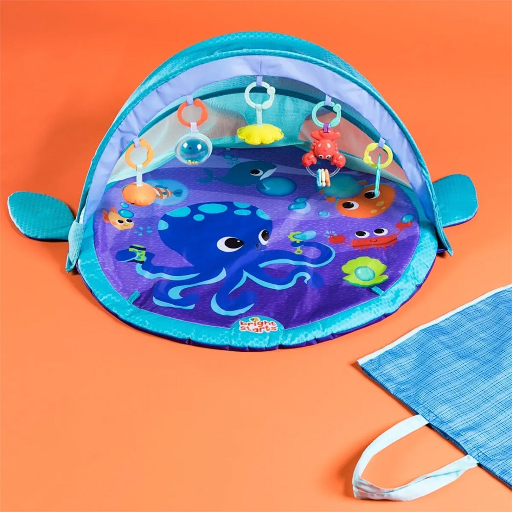 Bright Starts baby gym kit